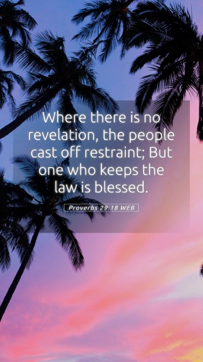 Picture 05 - Proverbs 29:18 WEB Mobile Phone Wallpaper - Where there is no revelation, the people cast off - Mobile Bible Verse Wallpaper