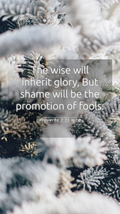 Picture 05 - Proverbs 3:35 WEB Mobile Phone Wallpaper - The wise will inherit glory, But shame will be - Mobile Bible Verse Wallpaper