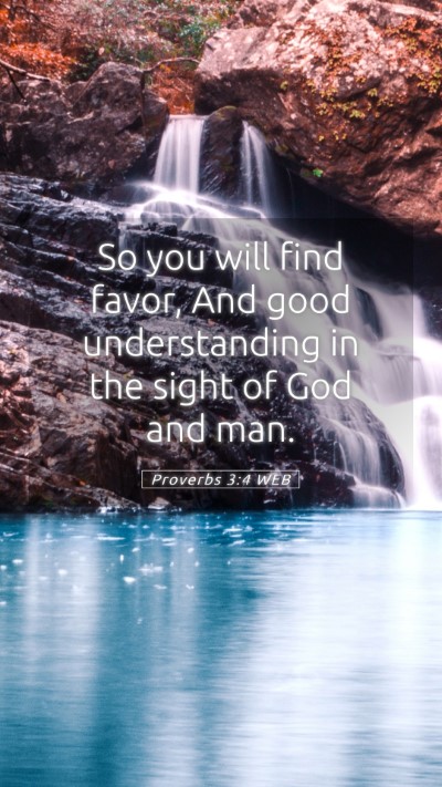 Picture 05 - Proverbs 3:4 WEB Mobile Phone Wallpaper - So you will find favor, And good understanding in - Mobile Bible Verse Wallpaper