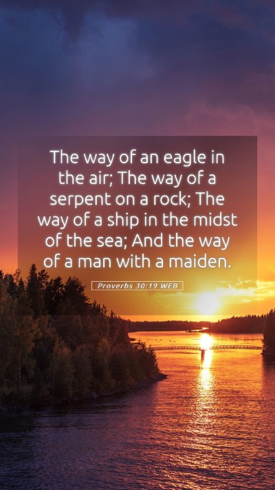 Picture 05 - Proverbs 30:19 WEB Mobile Phone Wallpaper - The way of an eagle in the air; The way of a - Mobile Bible Verse Wallpaper