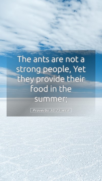 Picture 05 - Proverbs 30:25 WEB Mobile Phone Wallpaper - The ants are not a strong people, Yet they - Mobile Bible Verse Wallpaper