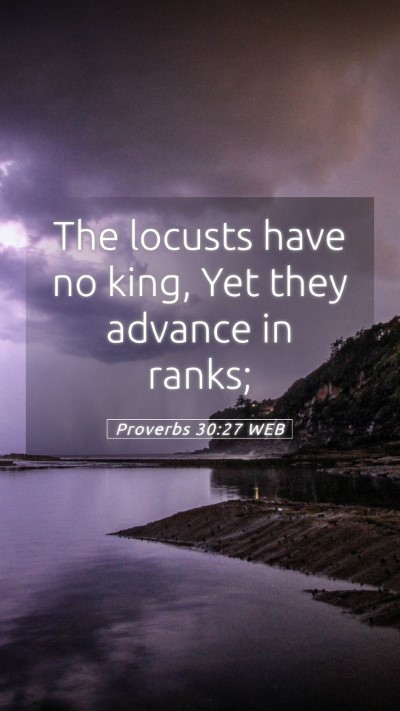 Picture 05 - Proverbs 30:27 WEB Mobile Phone Wallpaper - The locusts have no king, Yet they advance in - Mobile Bible Verse Wallpaper