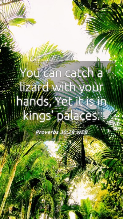Picture 05 - Proverbs 30:28 WEB Mobile Phone Wallpaper - You can catch a lizard with your hands, Yet it is - Mobile Bible Verse Wallpaper