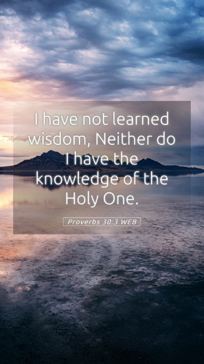 Picture 05 - Proverbs 30:3 WEB Mobile Phone Wallpaper - I have not learned wisdom, Neither do I have the - Mobile Bible Verse Wallpaper