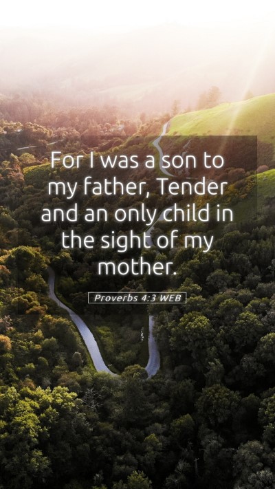 Picture 05 - Proverbs 4:3 WEB Mobile Phone Wallpaper - For I was a son to my father, Tender and an only - Mobile Bible Verse Wallpaper
