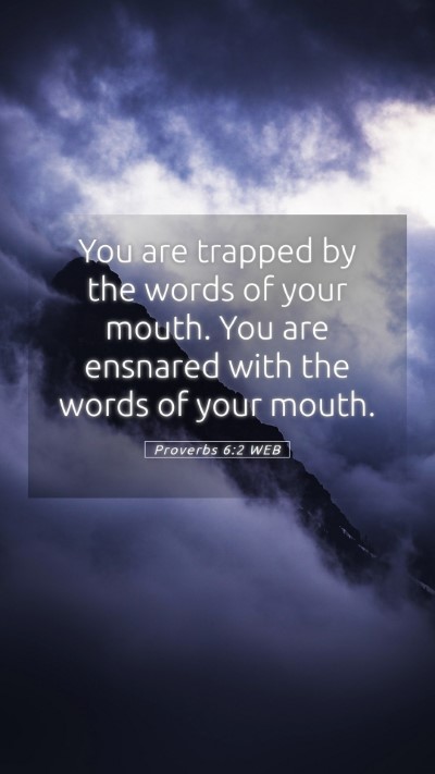 Picture 05 - Proverbs 6:2 WEB Mobile Phone Wallpaper - You are trapped by the words of your mouth. You - Mobile Bible Verse Wallpaper