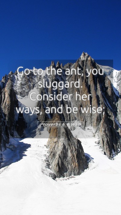 Picture 05 - Proverbs 6:6 WEB Mobile Phone Wallpaper - Go to the ant, you sluggard. Consider her ways, - Mobile Bible Verse Wallpaper