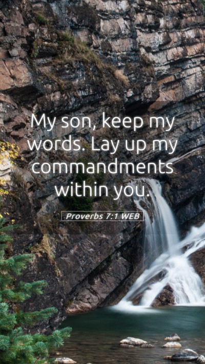 Picture 05 - Proverbs 7:1 WEB Mobile Phone Wallpaper - My son, keep my words. Lay up my commandments - Mobile Bible Verse Wallpaper