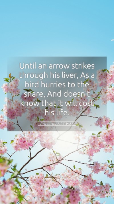 Picture 05 - Proverbs 7:23 WEB Mobile Phone Wallpaper - Until an arrow strikes through his liver, As a - Mobile Bible Verse Wallpaper