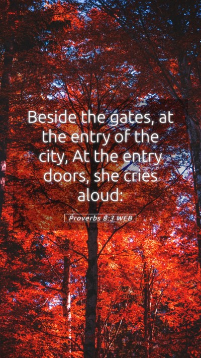 Picture 05 - Proverbs 8:3 WEB Mobile Phone Wallpaper - Beside the gates, at the entry of the city, At - Mobile Bible Verse Wallpaper