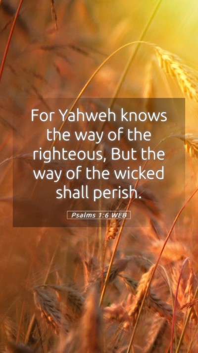 Picture 05 - Psalms 1:6 WEB Mobile Phone Wallpaper - For Yahweh knows the way of the righteous, But - Mobile Bible Verse Wallpaper
