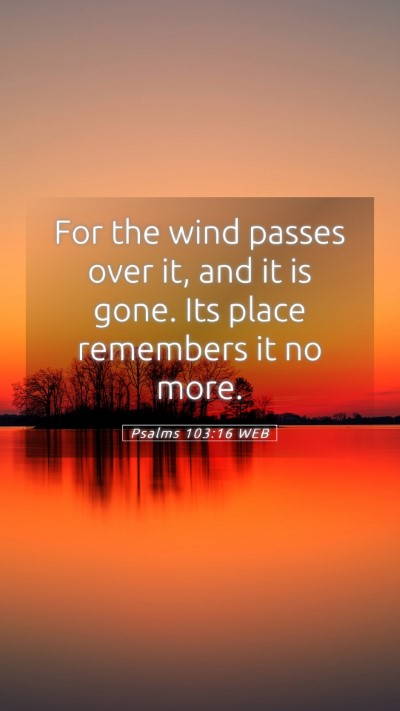 Picture 05 - Psalms 103:16 WEB Mobile Phone Wallpaper - For the wind passes over it, and it is gone. Its - Mobile Bible Verse Wallpaper