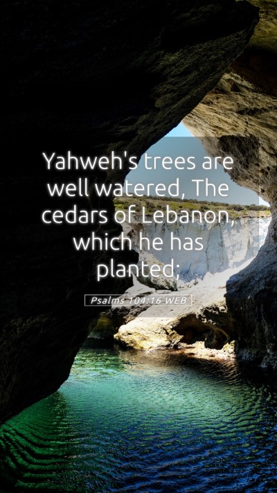 Picture 05 - Psalms 104:16 WEB Mobile Phone Wallpaper - Yahweh's trees are well watered, The cedars of - Mobile Bible Verse Wallpaper