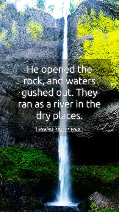 Picture 05 - Psalms 105:41 WEB Mobile Phone Wallpaper - He opened the rock, and waters gushed out. They - Mobile Bible Verse Wallpaper