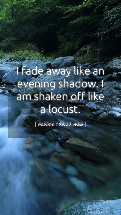 Picture 05 - Psalms 109:23 WEB Mobile Phone Wallpaper - I fade away like an evening shadow. I am shaken - Mobile Bible Verse Wallpaper