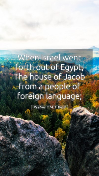 Picture 05 - Psalms 114:1 WEB Mobile Phone Wallpaper - When Israel went forth out of Egypt, The house of - Mobile Bible Verse Wallpaper