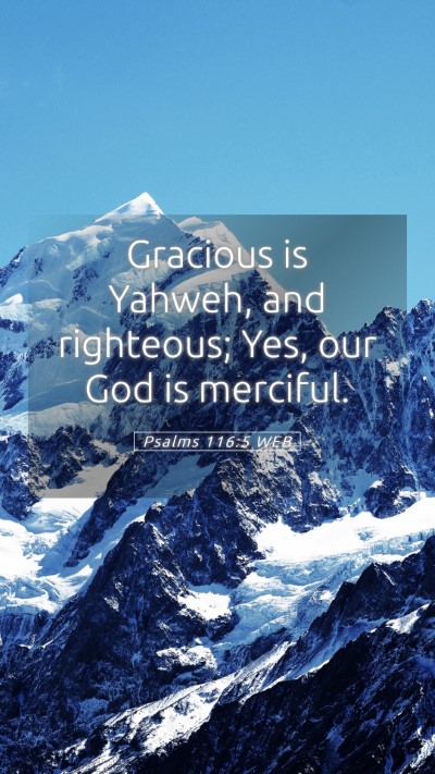 Picture 05 - Psalms 116:5 WEB Mobile Phone Wallpaper - Gracious is Yahweh, and righteous; Yes, our God - Mobile Bible Verse Wallpaper