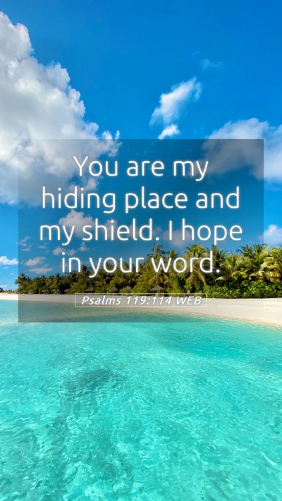 Picture 05 - Psalms 119:114 WEB Mobile Phone Wallpaper - You are my hiding place and my shield. I hope in - Mobile Bible Verse Wallpaper