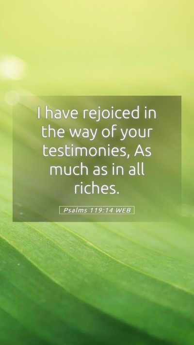 Picture 05 - Psalms 119:14 WEB Mobile Phone Wallpaper - I have rejoiced in the way of your testimonies, - Mobile Bible Verse Wallpaper
