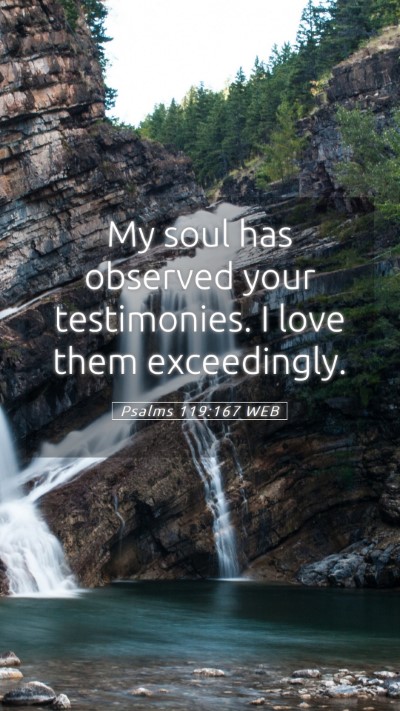 Picture 05 - Psalms 119:167 WEB Mobile Phone Wallpaper - My soul has observed your testimonies. I love - Mobile Bible Verse Wallpaper