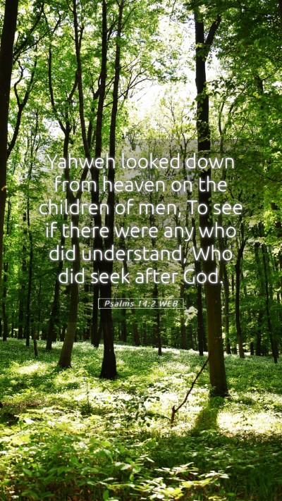 Picture 05 - Psalms 14:2 WEB Mobile Phone Wallpaper - Yahweh looked down from heaven on the children of - Mobile Bible Verse Wallpaper