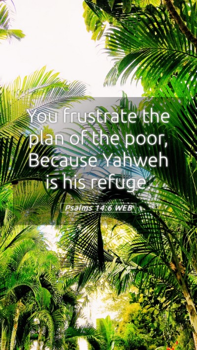 Picture 05 - Psalms 14:6 WEB Mobile Phone Wallpaper - You frustrate the plan of the poor, Because - Mobile Bible Verse Wallpaper