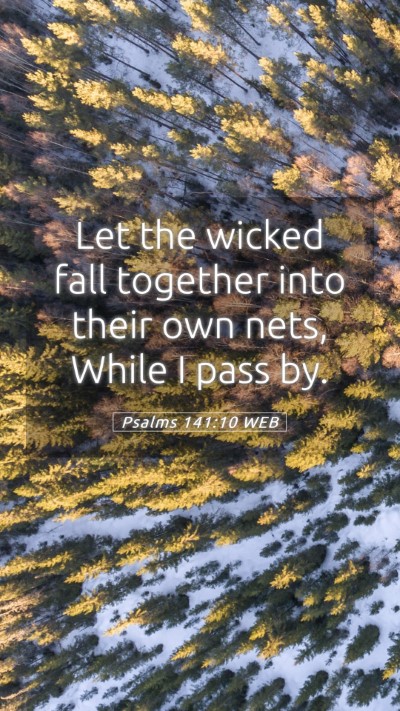 Picture 05 - Psalms 141:10 WEB Mobile Phone Wallpaper - Let the wicked fall together into their own nets, - Mobile Bible Verse Wallpaper