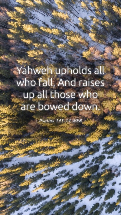 Picture 05 - Psalms 145:14 WEB Mobile Phone Wallpaper - Yahweh upholds all who fall, And raises up all - Mobile Bible Verse Wallpaper