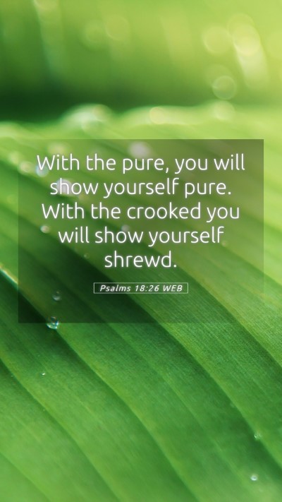 Picture 05 - Psalms 18:26 WEB Mobile Phone Wallpaper - With the pure, you will show yourself pure. With - Mobile Bible Verse Wallpaper