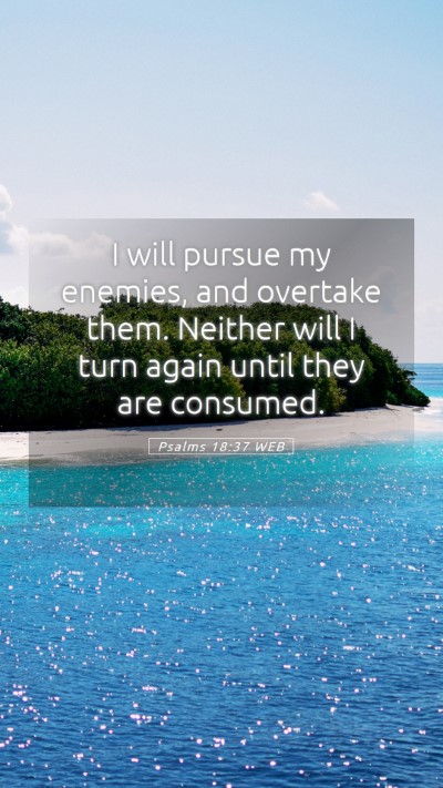 Picture 05 - Psalms 18:37 WEB Mobile Phone Wallpaper - I will pursue my enemies, and overtake them. - Mobile Bible Verse Wallpaper