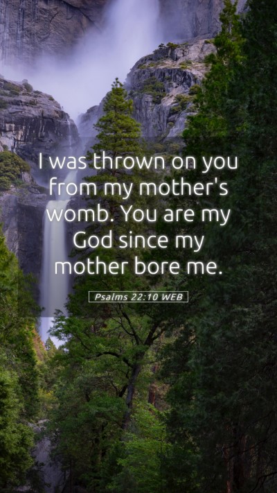 Picture 05 - Psalms 22:10 WEB Mobile Phone Wallpaper - I was thrown on you from my mother's womb. You - Mobile Bible Verse Wallpaper