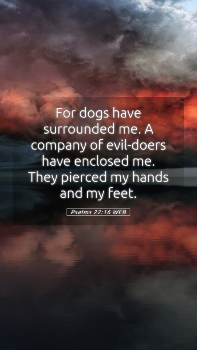 Picture 05 - Psalms 22:16 WEB Mobile Phone Wallpaper - For dogs have surrounded me. A company of - Mobile Bible Verse Wallpaper