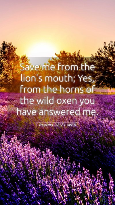 Picture 05 - Psalms 22:21 WEB Mobile Phone Wallpaper - Save me from the lion's mouth; Yes, from the - Mobile Bible Verse Wallpaper