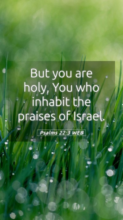Picture 05 - Psalms 22:3 WEB Mobile Phone Wallpaper - But you are holy, You who inhabit the praises of - Mobile Bible Verse Wallpaper