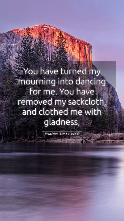 Picture 05 - Psalms 30:11 WEB Mobile Phone Wallpaper - You have turned my mourning into dancing for me. - Mobile Bible Verse Wallpaper