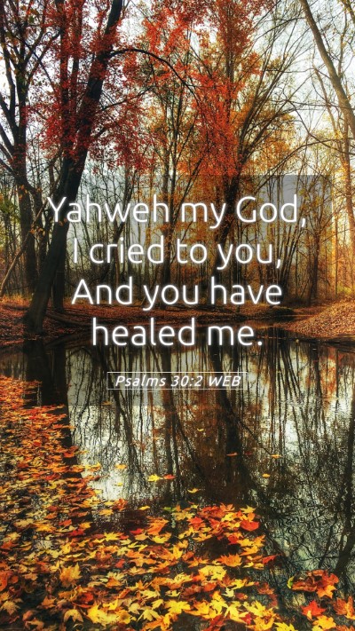 Picture 05 - Psalms 30:2 WEB Mobile Phone Wallpaper - Yahweh my God, I cried to you, And you have - Mobile Bible Verse Wallpaper