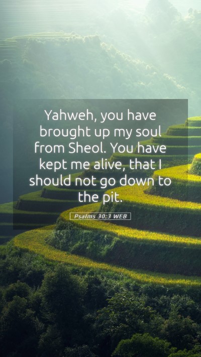 Picture 05 - Psalms 30:3 WEB Mobile Phone Wallpaper - Yahweh, you have brought up my soul from Sheol. - Mobile Bible Verse Wallpaper