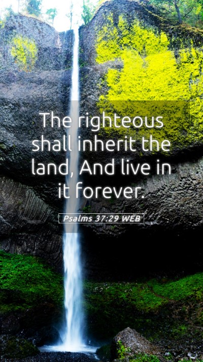 Picture 05 - Psalms 37:29 WEB Mobile Phone Wallpaper - The righteous shall inherit the land, And live in - Mobile Bible Verse Wallpaper