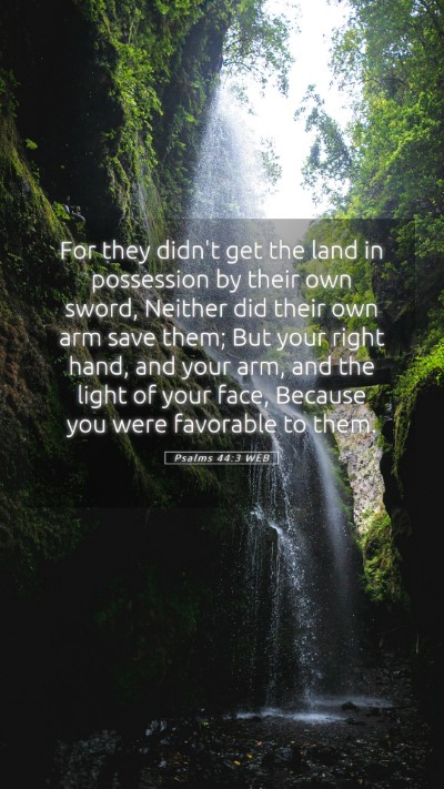 Picture 05 - Psalms 44:3 WEB Mobile Phone Wallpaper - For they didn't get the land in possession by - Mobile Bible Verse Wallpaper
