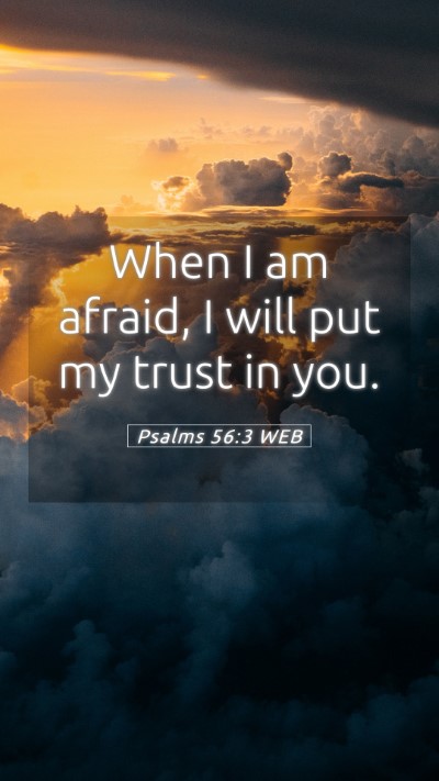 Picture 05 - Psalms 56:3 WEB Mobile Phone Wallpaper - When I am afraid, I will put my trust in - Mobile Bible Verse Wallpaper