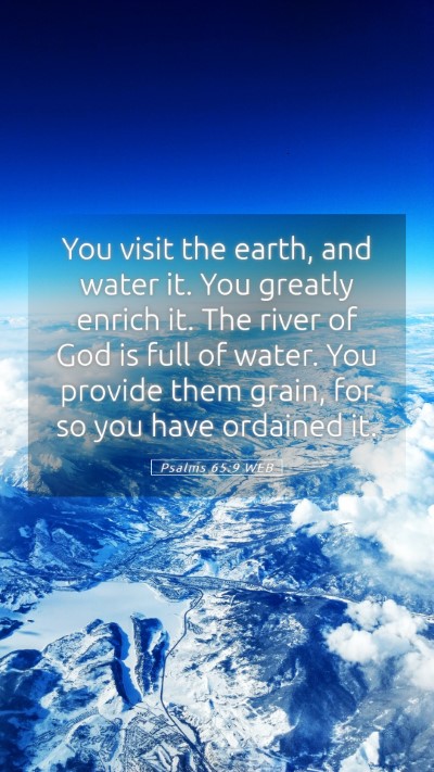Picture 05 - Psalms 65:9 WEB Mobile Phone Wallpaper - You visit the earth, and water it. You greatly - Mobile Bible Verse Wallpaper