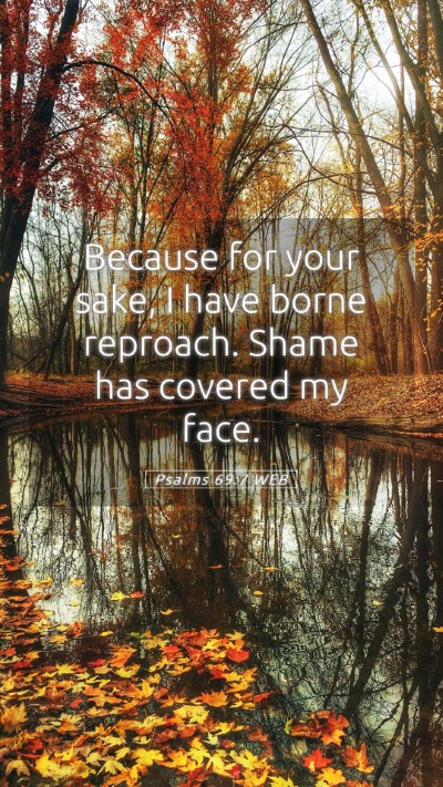 Picture 05 - Psalms 69:7 WEB Mobile Phone Wallpaper - Because for your sake, I have borne reproach. - Mobile Bible Verse Wallpaper