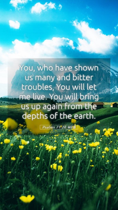 Picture 05 - Psalms 71:20 WEB Mobile Phone Wallpaper - You, who have shown us many and bitter troubles, - Mobile Bible Verse Wallpaper