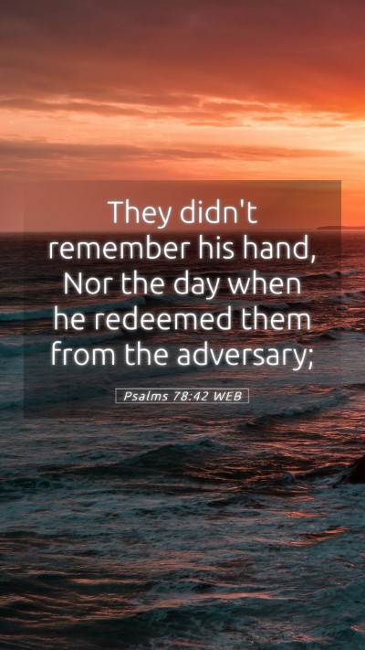 Picture 05 - Psalms 78:42 WEB Mobile Phone Wallpaper - They didn't remember his hand, Nor the day when - Mobile Bible Verse Wallpaper