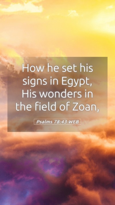 Picture 05 - Psalms 78:43 WEB Mobile Phone Wallpaper - How he set his signs in Egypt, His wonders in the - Mobile Bible Verse Wallpaper