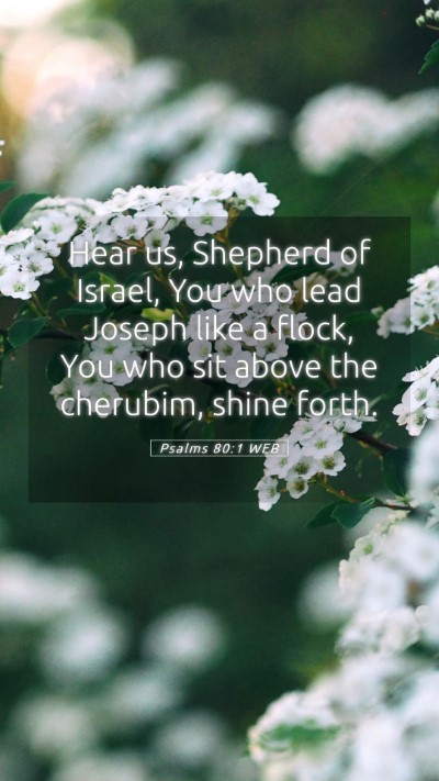 Picture 05 - Psalms 80:1 WEB Mobile Phone Wallpaper - Hear us, Shepherd of Israel, You who lead Joseph - Mobile Bible Verse Wallpaper