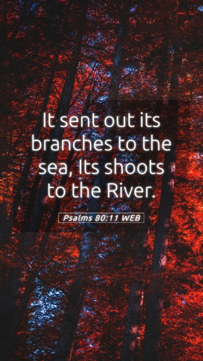 Picture 05 - Psalms 80:11 WEB Mobile Phone Wallpaper - It sent out its branches to the sea, Its shoots - Mobile Bible Verse Wallpaper