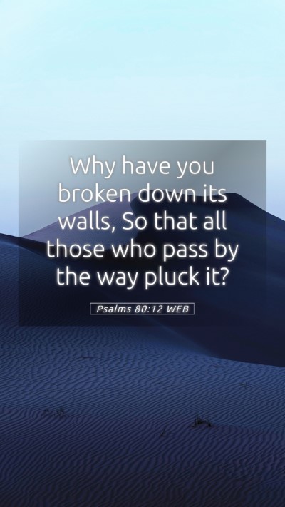 Picture 05 - Psalms 80:12 WEB Mobile Phone Wallpaper - Why have you broken down its walls, So that all - Mobile Bible Verse Wallpaper