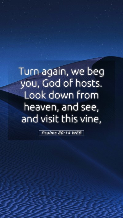 Picture 05 - Psalms 80:14 WEB Mobile Phone Wallpaper - Turn again, we beg you, God of hosts. Look down - Mobile Bible Verse Wallpaper