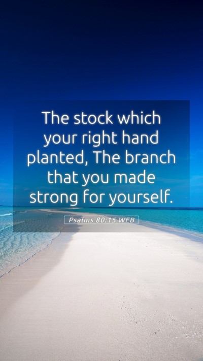 Picture 05 - Psalms 80:15 WEB Mobile Phone Wallpaper - The stock which your right hand planted, The - Mobile Bible Verse Wallpaper